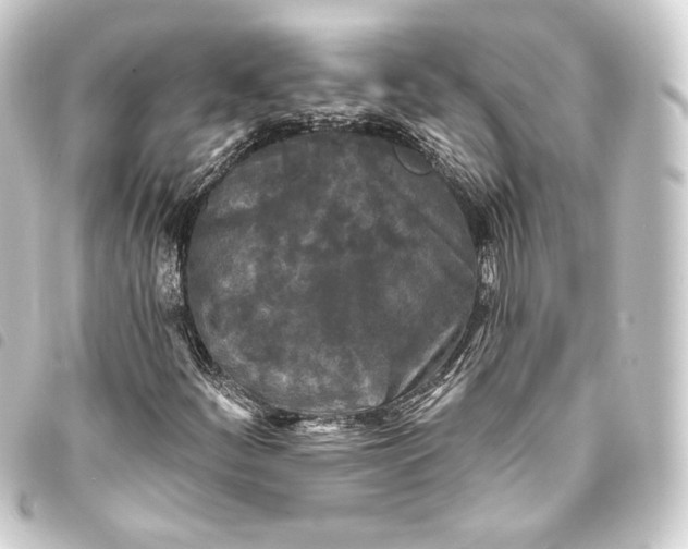 X0000093741252200710301057