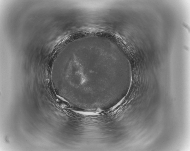 X0000093741253200710301057