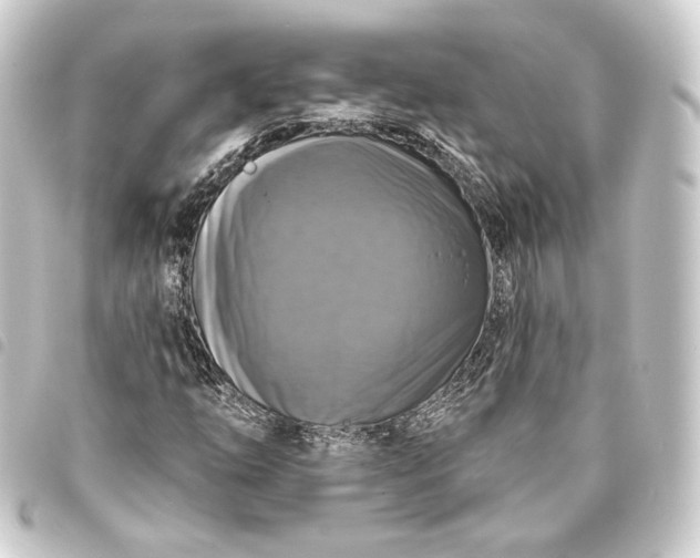 X0000093741254200710301057