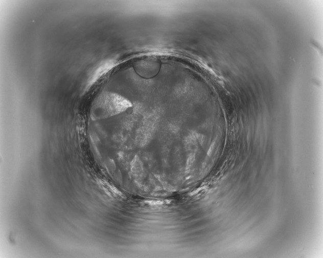 X0000093741255200710301057