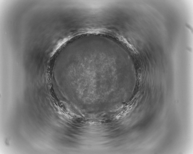 X0000093741256200710301057