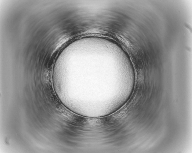 X0000093741258200710301057