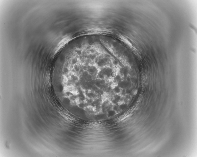 X0000093741259200710301057