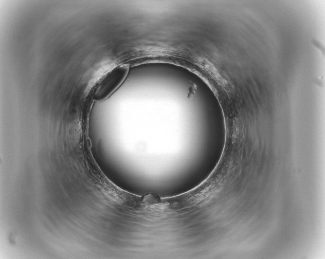 X0000093741261200710301057