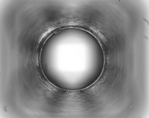 X0000093741262200710301057