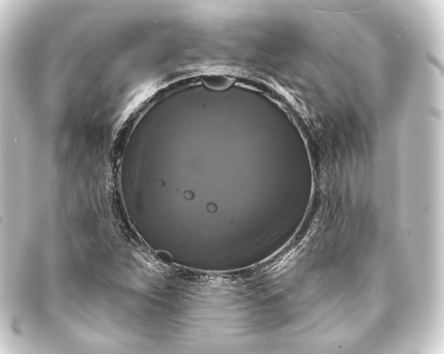 X0000093741263200710301057