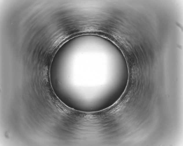 X0000093741265200710301057