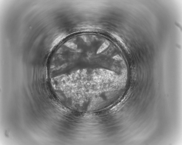 X0000093741267200710301057