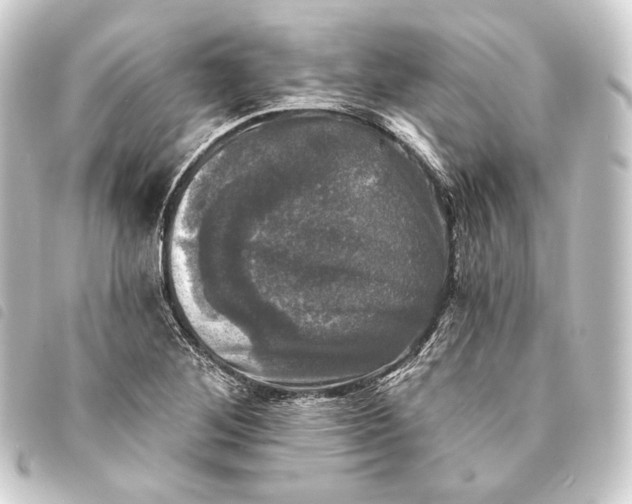 X0000093741268200710301057