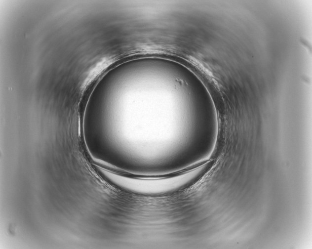 X0000093741269200710301057