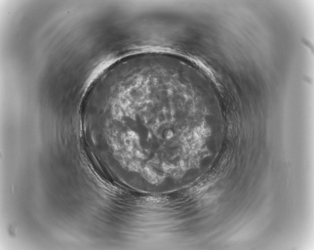 X0000093741271200710301057