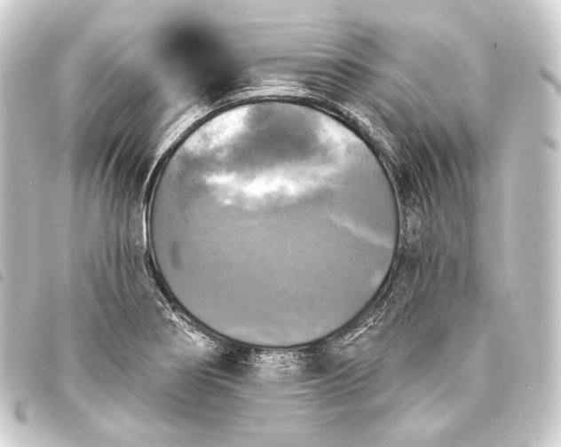 X0000093741274200710301057