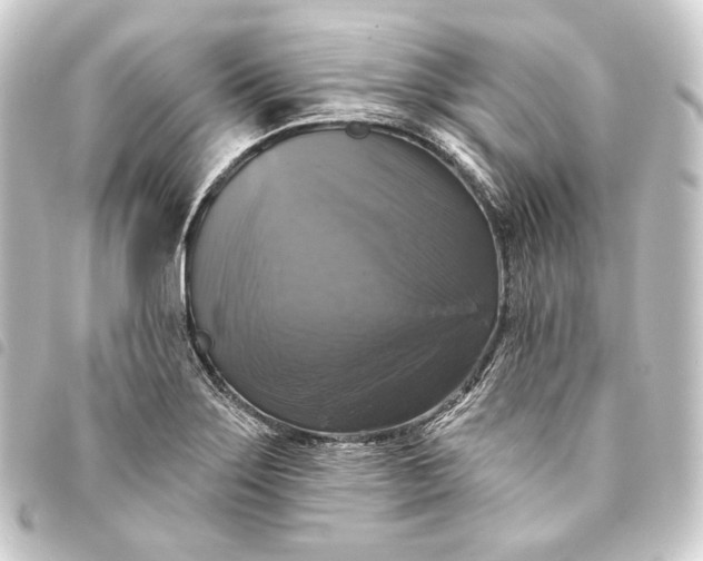 X0000093741275200710301057