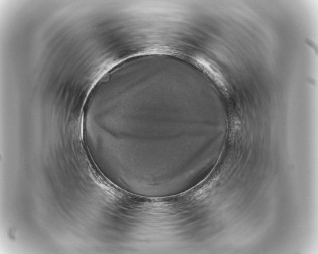 X0000093741276200710301057