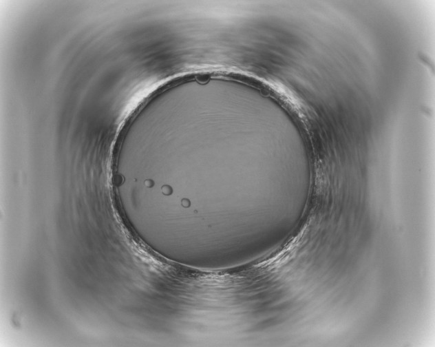 X0000093741279200710301057