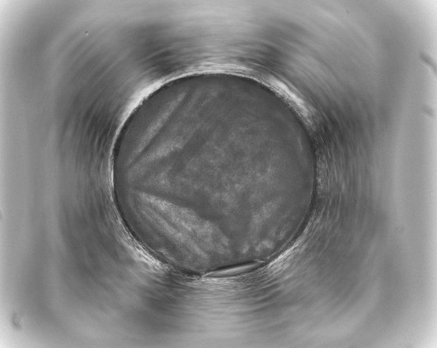 X0000093741280200710301057