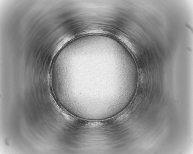 X0000093741282200710301057