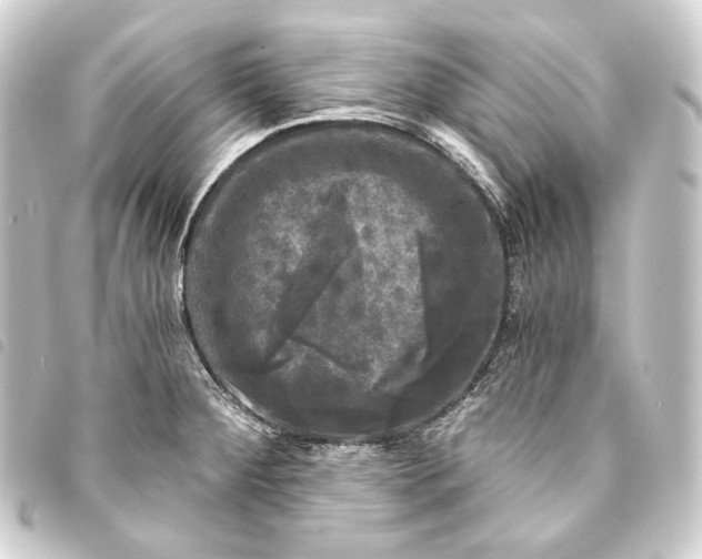 X0000093741284200710301057