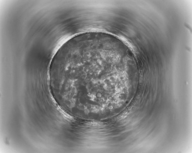 X0000093741287200710301057