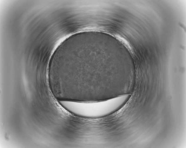 X0000093741288200710301057