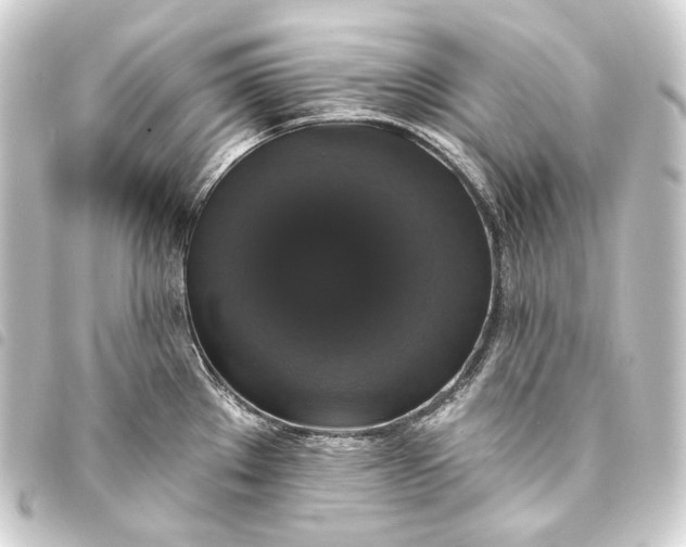 X0000093741289200710301057