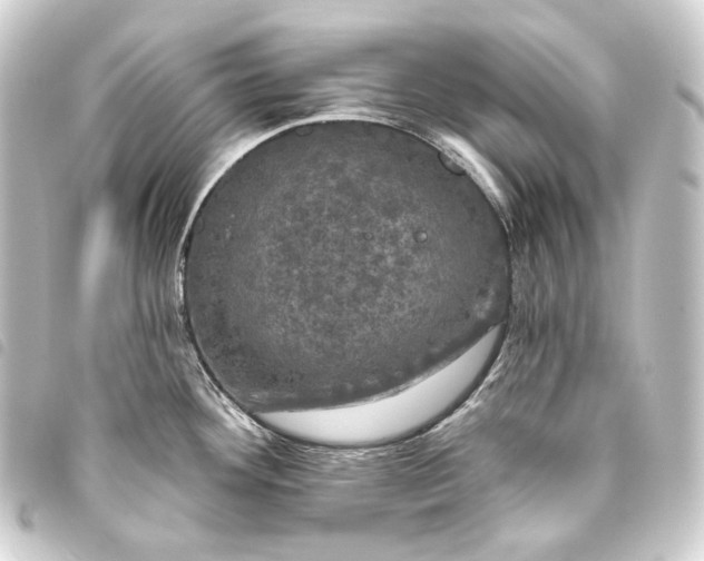 X0000093741292200710301057