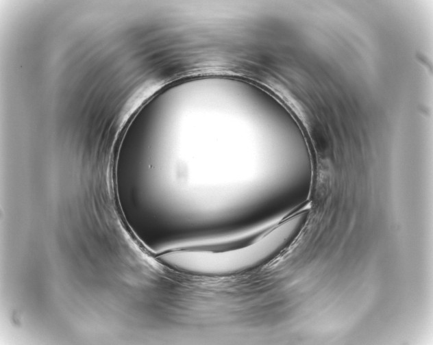 X0000093741293200710301056