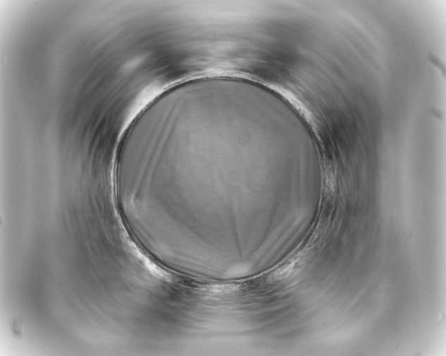 X0000093741294200710301056