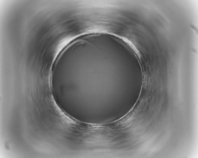 X0000093741295200710301056