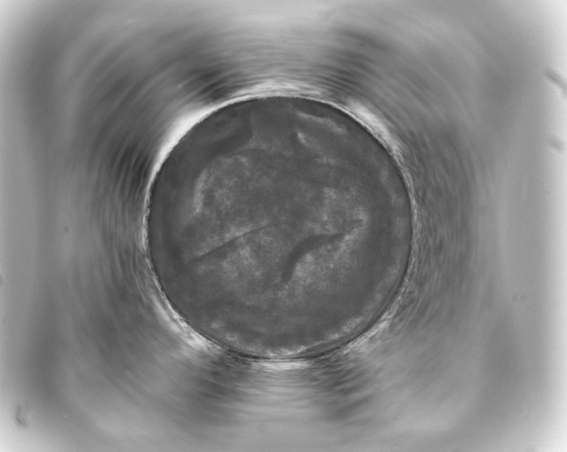 X0000093741296200710301056