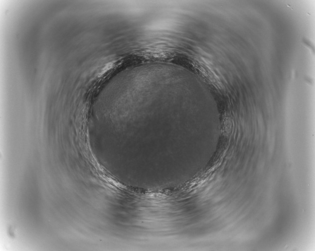 X0000093741297200710301056