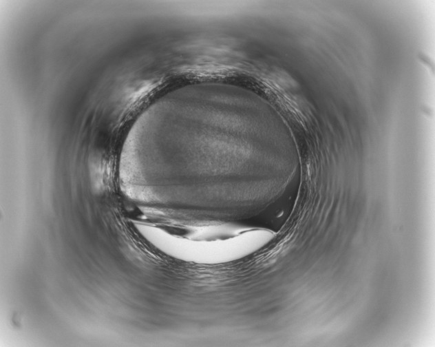 X0000093741300200710301056