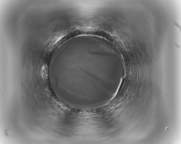 X0000093741301200710301056