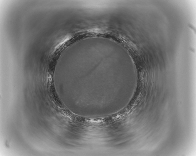 X0000093741302200710301056