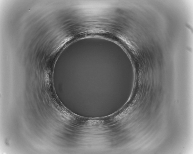 X0000093741305200710301056