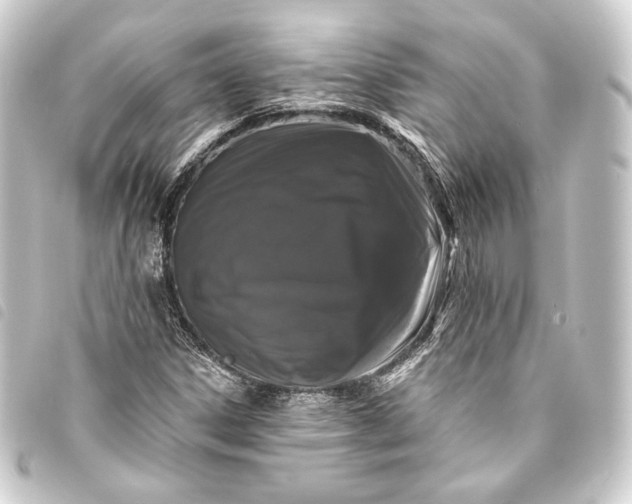 X0000093741306200710301056