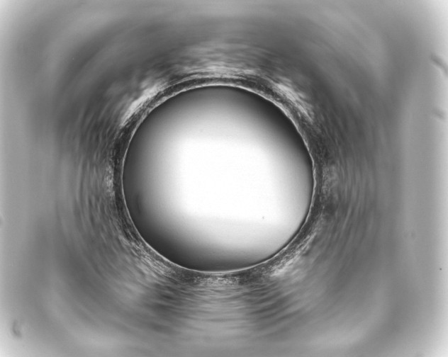 X0000093741307200710301056