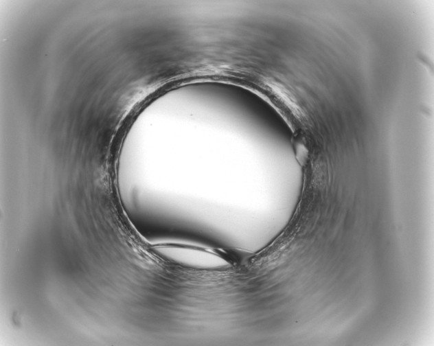 X0000093741308200710301056