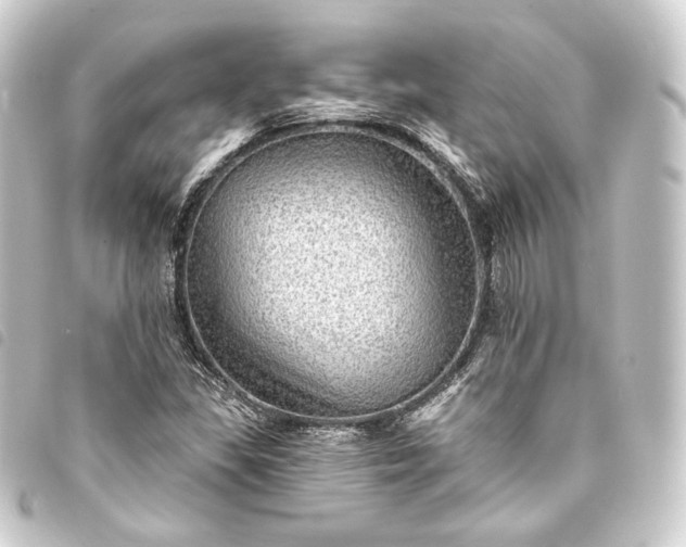 X0000093741309200710301056