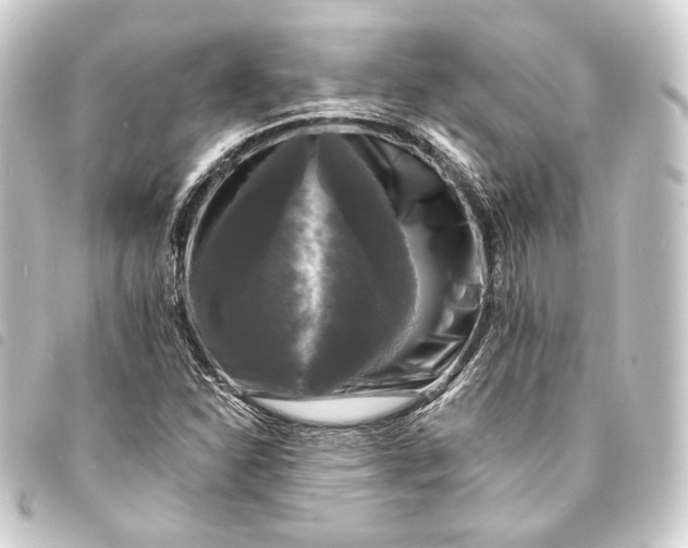 X0000093741310200710301056