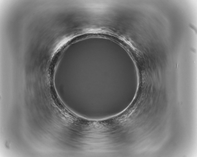 X0000093741311200710301056