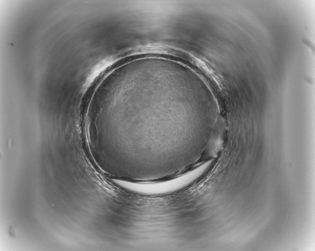 X0000093741312200710301056