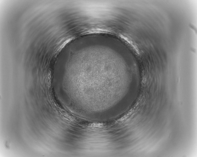 X0000093741313200710301056