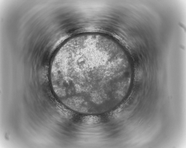 X0000093741314200710301056