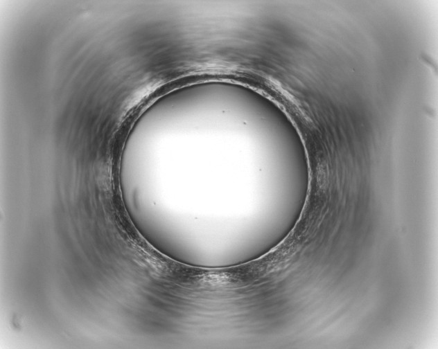 X0000093741315200710301056