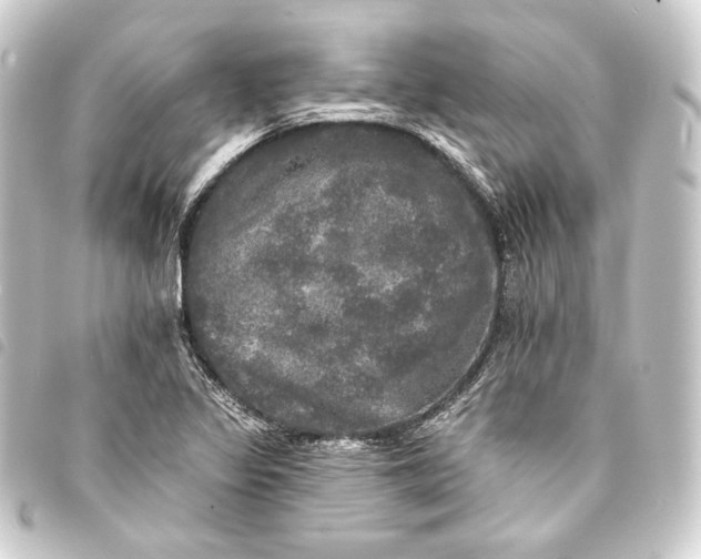 X0000093741317200710301056