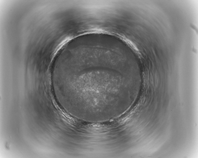 X0000093741318200710301056