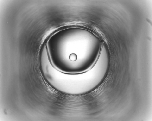 X0000093741320200710301056