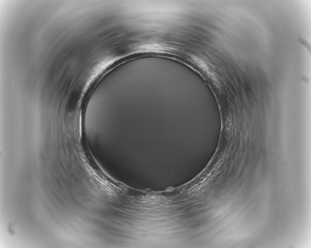 X0000093741323200710301056