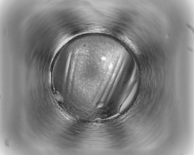 X0000093741324200710301056